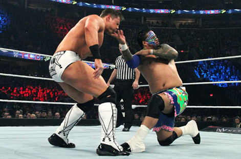 WWE双打冠军赛《TLC 2014》 