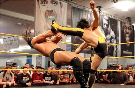 摔角狂热粉丝见面会上的NXT锦标赛