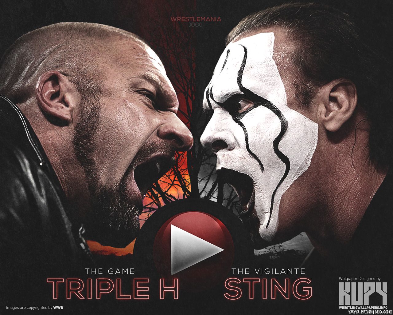 WWE摔角狂热31官方高清桌面(斯汀vsHHH) WWE摔角狂热31官方高清桌面(斯汀vsHHH)