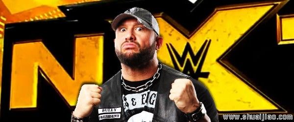 前TNA世界重量级冠军恶霸雷今日回归WWE！？