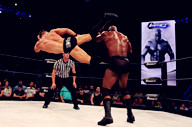 鲍比·莱斯利对阵杰西·哥德兹《TNA 2015.08.13》