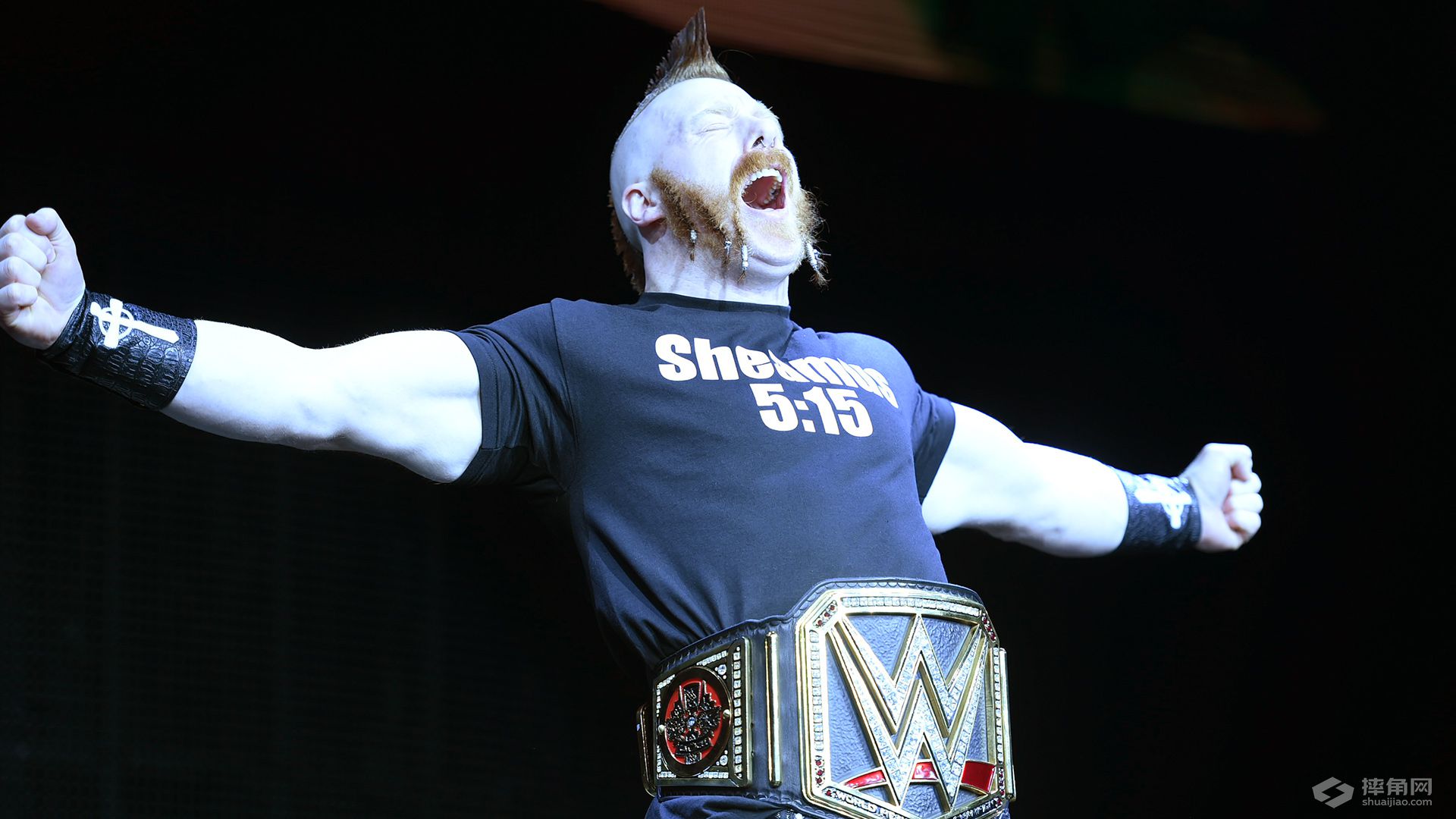 《WWE SmackDown 2015.12.02》视频组合图集