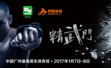 搏击进入3.0时代  综合格斗将成主流