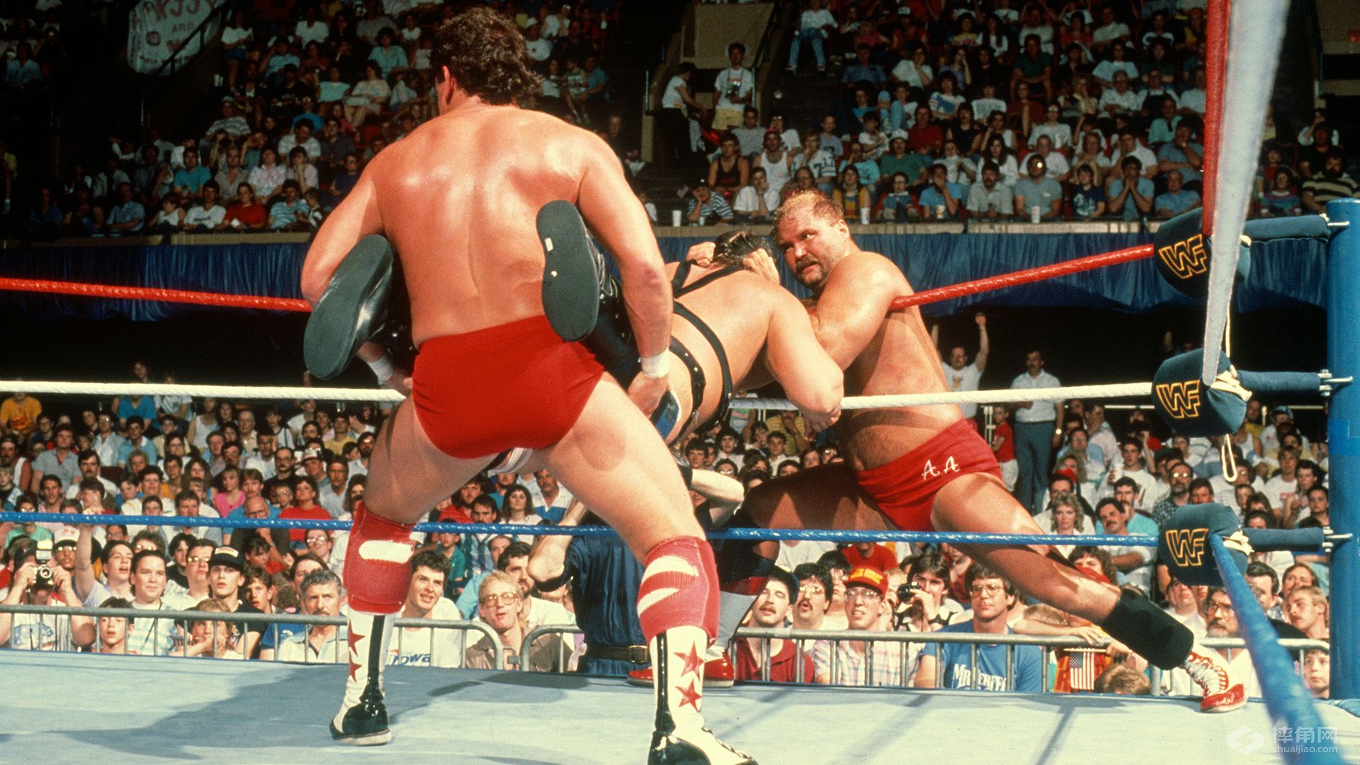 WWE史上最伟大的50个组合！居然有他们！