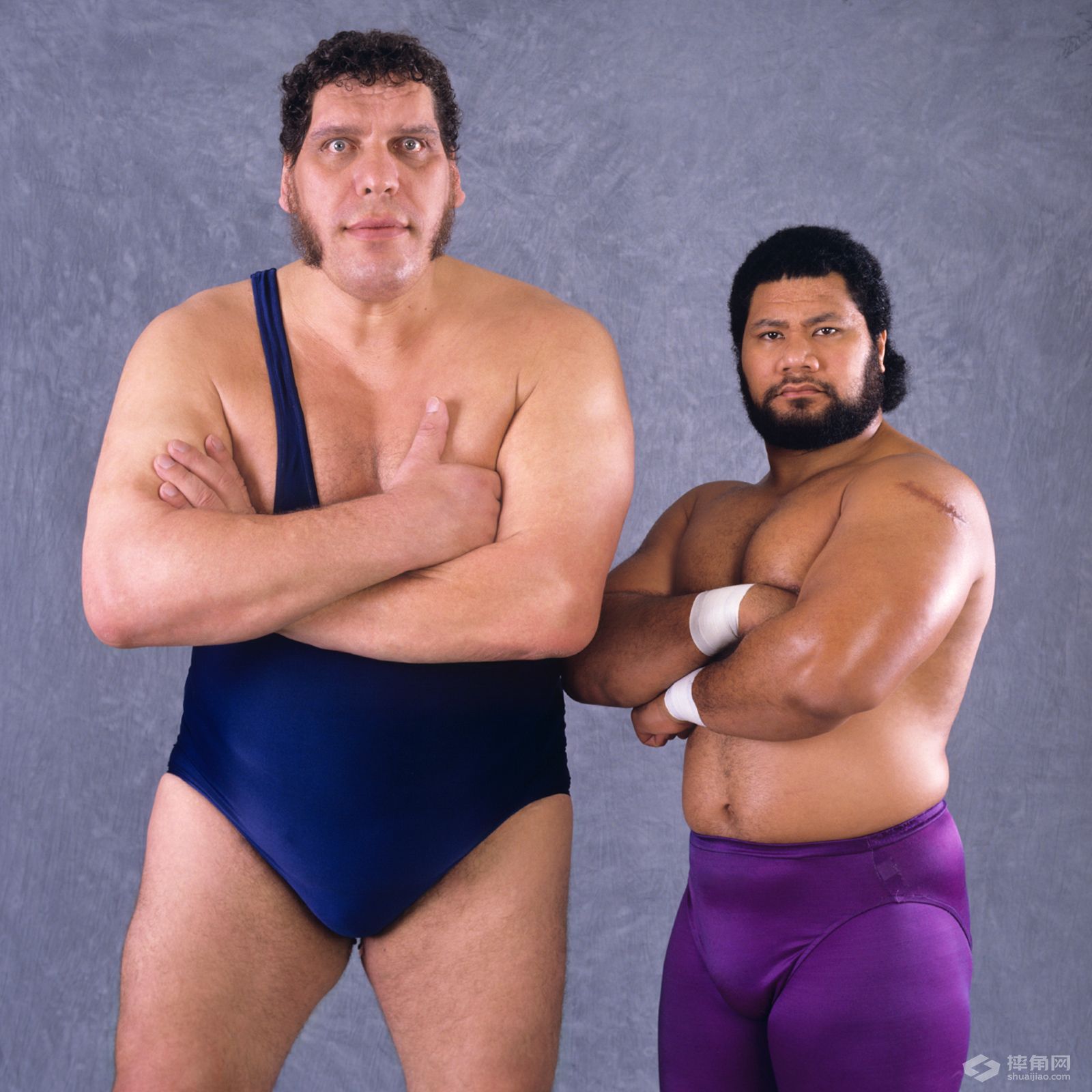 WWE史上最伟大的50个组合！居然有他们！