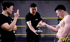 CWF中摔论贱，空翻，武术，搏击，锁技，真有一股武林高手的感觉