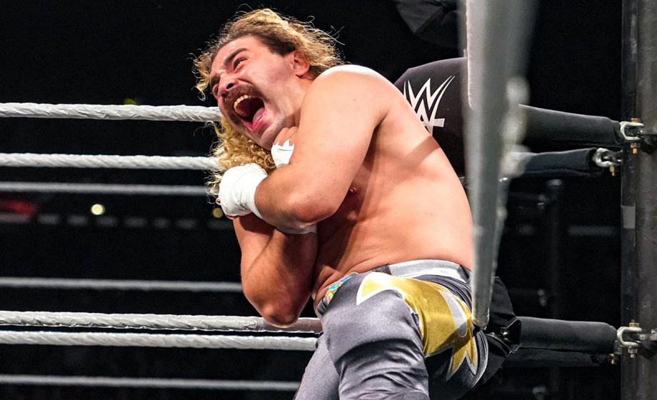 尼基·克罗斯大战坎迪斯·莱雷！《WWE NXT 2018.11.22》