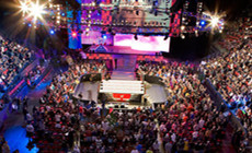 WWE2019《极限规则》是否将再现大面积空座？门票销量曝光！