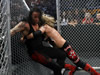SummerSlam 2008比赛图片