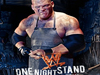 One Night Stand 2008桌面