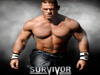 Survivor Series 2008桌面
