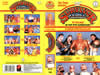 Survivor Series 1989 DVD封面