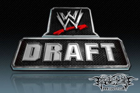 国外评论人对2009年Draft的看法