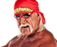 Hulk Hogan因背伤入院